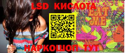 амф Гай