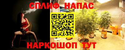 амф Гай