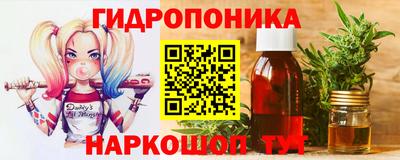 амф Гай