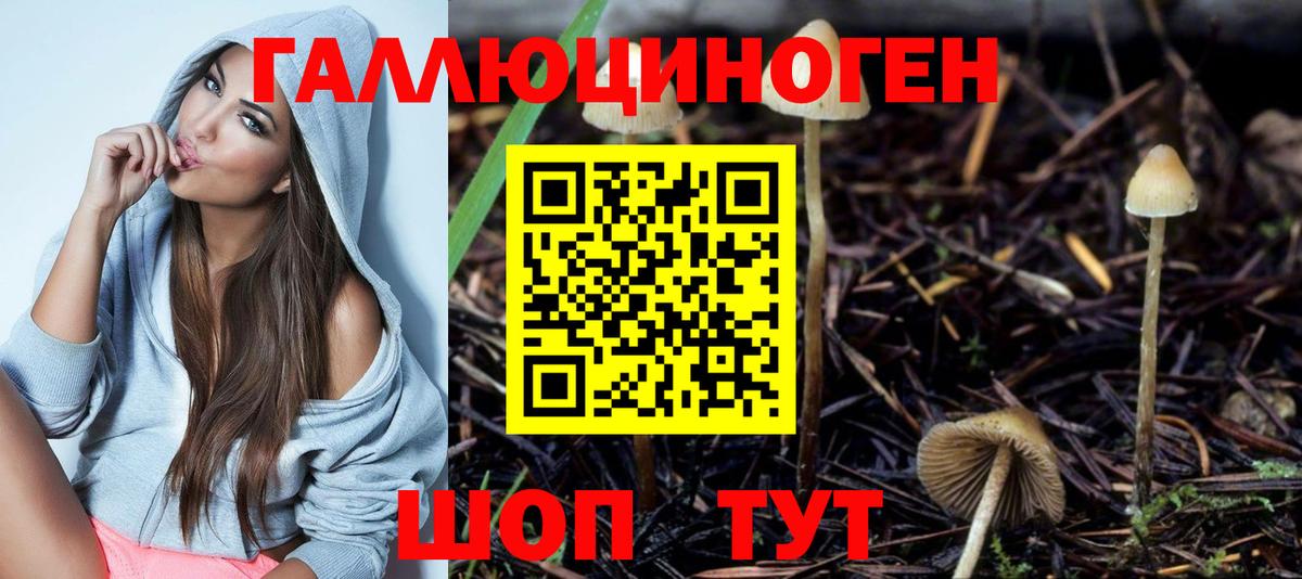 Галлюциногенные грибы Psilocybine cubensis  Вход с VPN  Назарово  Галлюциногенные грибы Cubensis 